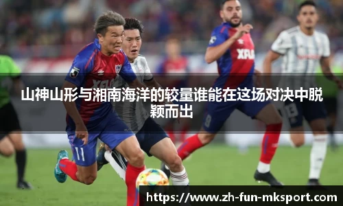 山神山形与湘南海洋的较量谁能在这场对决中脱颖而出